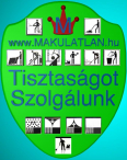 Ipari/csarnok takarítás, építkezés utáni takarítás, lakópark/társasház takarítás, irodatakarítás, alpintechnikás ablakmosás, ablaktisztítás.